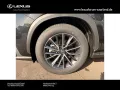 Lexus NX 450 h+ E-Four Business Line
