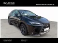 Lexus NX 450 h+ E-Four Business Line