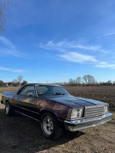 Chevrolet 1979 Chevrolet El Camino