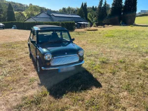 MINI Mini Rover