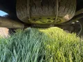 Renault R4 BJ 88 Savanne in wunderschönem ...