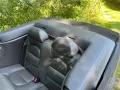 Saab 900 turbo cabrio