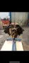 Ford F250 XLT Larriat 7,5l