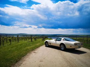Corvette C3