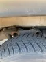 Mercedes-Benz Mercedes 250 GD mit H-Zulassung