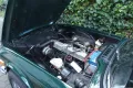 Triumph TR6