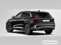 Audi SQ5 TFSI S tronic Luftfed/Pano/21