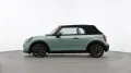 MINI Favoured Trim