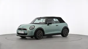 MINI Favoured Trim