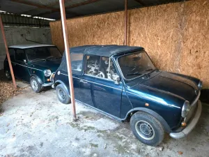 MINI classic Cooper + Cabrio (Konvolut, Sc...