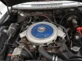 Oldsmobile Toronado 7.4 V8 370 PK RALLY KLAAR 10x TULPEN RA