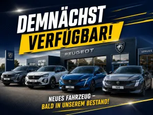 Opel Movano Kasten H2 35  L3H2 BlueHDI 180