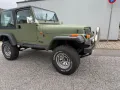 Jeep Wrangler 4.0 YJ 1991 Tüv Neu