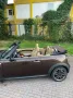 MINI Cooper Cabrio Cooper Automatik 