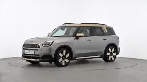 MINI Favoured Trim