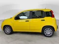Fiat Pandina MHEV Pop 1000 DIG-DISPLAY PDC BLUETOOTH 
