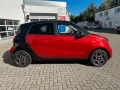 Smart forfour passion Panoramadach