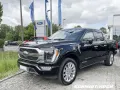 Ford F-150 Limited Allrad Leder LED-Scheinw. PDC