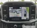 Ford F-150 Limited Allrad Leder LED-Scheinw. PDC