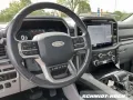 Ford F-150 Limited Allrad Leder LED-Scheinw. PDC
