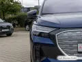 Audi Q4 e-tron 55 qu. S line Wärmep./AHK/SONOS/Matrix