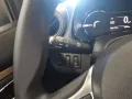 Dacia Spring Extreme Electric 65 *NAVI*KLIMA*PDC