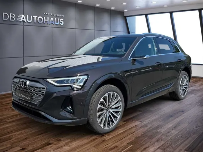 Audi Q8 e-tron advanced 55 quattor 114 kWh Pano Matri