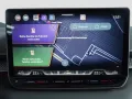 Seat Terramar 1.5 eTSI DSG Navi/Full-Link/DCC/RFK