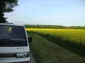 Mitsubishi L300 Oldtimer ohne H-Kennzeichen