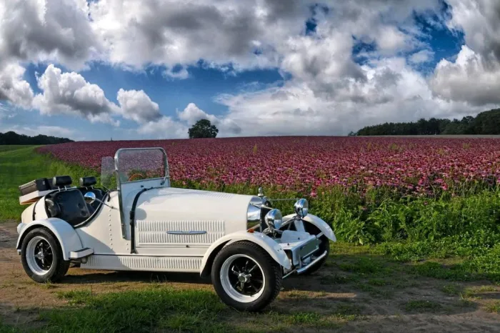 Other Bugatti Replika Typ 35