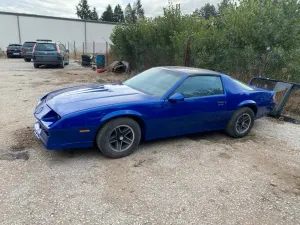 Chevrolet Camaro 5.0 HO, Schalter, Targa