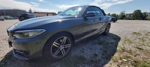 BMW 218i Cabrio Sport Line Sport Line
