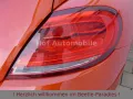 Volkswagen Beetle 1.4TSI DSG Club-Plus Xenon Kamera AppCon