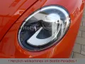 Volkswagen Beetle 1.4TSI DSG Club-Plus Xenon Kamera AppCon