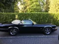Jaguar XJS Cabrio TOP !!!!