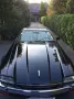 Jaguar XJS Cabrio TOP !!!!