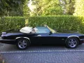 Jaguar XJS Cabrio TOP !!!!