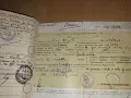 Fiat Bevedere