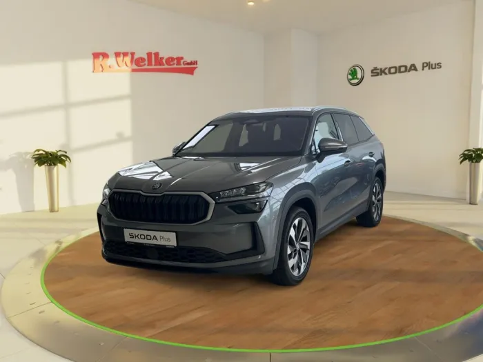 Skoda Kodiaq Selection 2.0 TDI 142kW 4x4 ''AHK''Navi''
