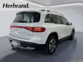 Mercedes-Benz EQB 300 4M Progressive AHK Winter-Paket Kamera