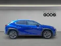 Lexus UX 300h F SPORT Navi Digitales Cockpit LED Blend