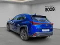 Lexus UX 300h F SPORT Navi Digitales Cockpit LED Blend