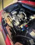 Peugeot 504 Autom. - H-Zul. - Restauriert inkl. Motor