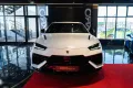 Lamborghini Urus S
