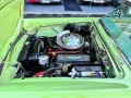 Ford Thunderbird RARE sage Green Continental kit