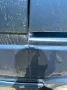 Volkswagen VW Bus t3 Blue Star 1990 Multivan