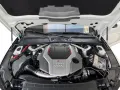Audi RS4 Avant 2.9 TFSI quattro Last Edition RS-Dynam