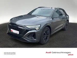 Audi Q8 55 e-tron S line quattro 300 kW