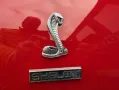 Ford SHELBY GT 350 Fastback