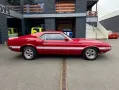 Ford SHELBY GT 350 Fastback